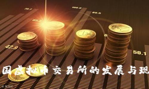 中国虚拟币交易所的发展与现状