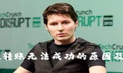 TPWallet转账无法成功的原因及解决方案