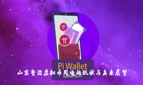 山东整治虚拟币用电的现状与未来展望