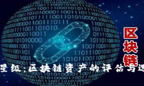 虚拟币星级：区块链资产的评估与选择指南
