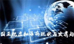 中国正规虚拟币的现状与发展趋势