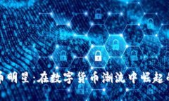 虚拟币明星：在数字货币潮流中崛起的