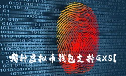 哪种虚拟币钱包支持GXS?