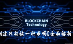 TPWallet创建只能放一种币吗？全面解析