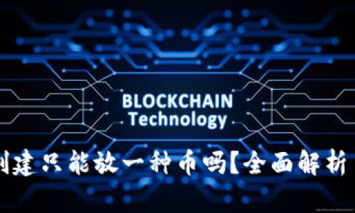 TPWallet创建只能放一种币吗？全面解析多币种支持