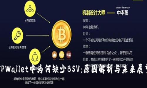TPWallet中为何缺少BSV：原因解析与未来展望