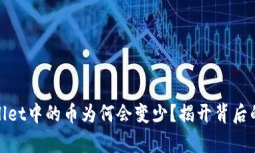 tpwallet中的币为何会变少?揭开背后的秘密