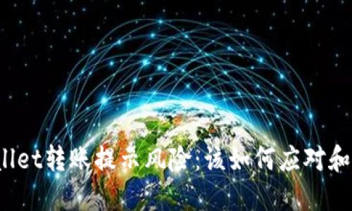 TPWallet转账提示风险:该如何应对和避免?